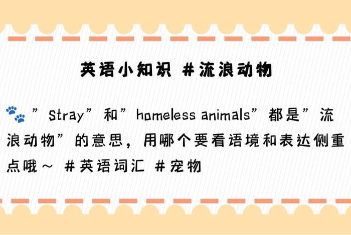 流浪猫的英文；流浪猫的英文名字