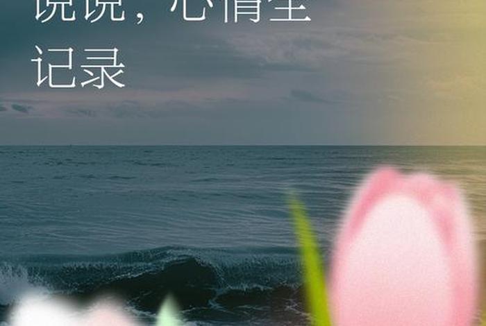 悲催生活记录 - 悲催的生活是什么意思