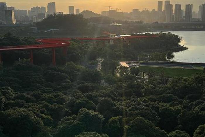 深圳生活怎么样?,深圳生活舒服吗 深圳生活怎么样?,深圳生活舒服吗