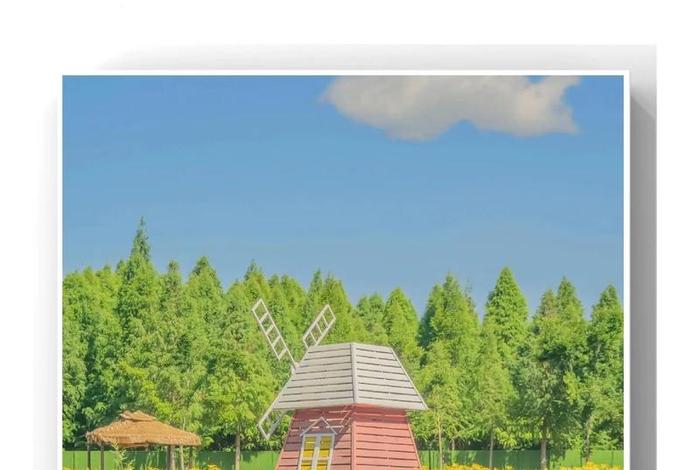 分享生活感受、分享生活的话