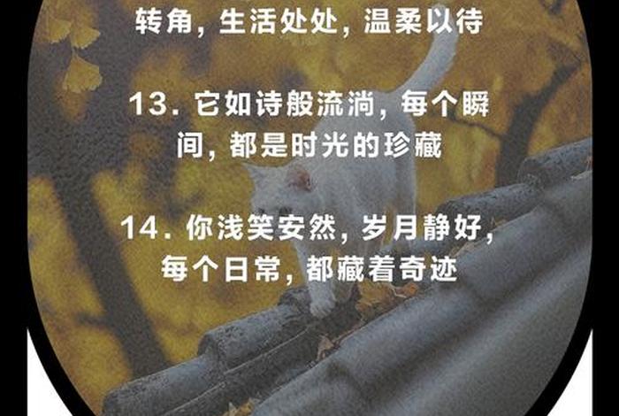 生活小惊喜唯美的句子;生活小惊喜的感悟 生活小惊喜唯美的句子;生活小惊喜的感悟