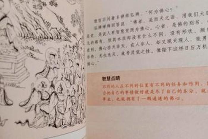 禅的生活智慧书籍、禅悟生活 禅的生活智慧书籍、禅悟生活