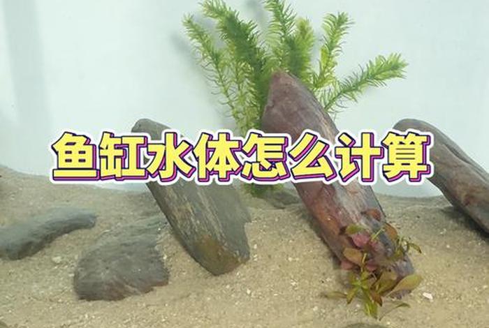 600升水等于多少吨;600升水多重 600升水等于多少吨;600升水多重