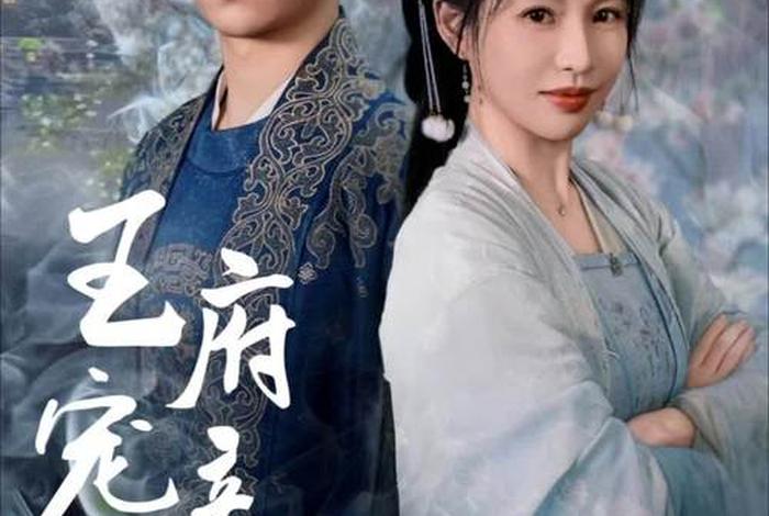 聂政王府生活，聂政王的宠妃日常