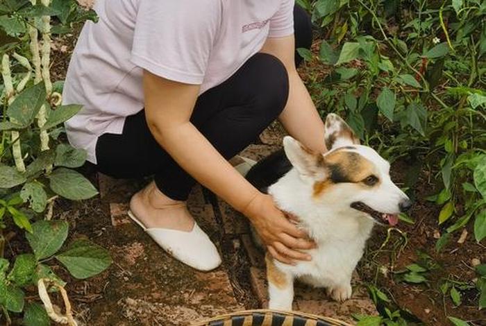 悠闲生活图片配图，悠闲生活照