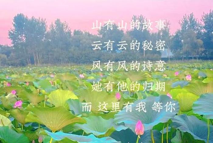 生活充满诗意的短诗、诗意生活的短句 生活充满诗意的短诗、诗意生活的短句