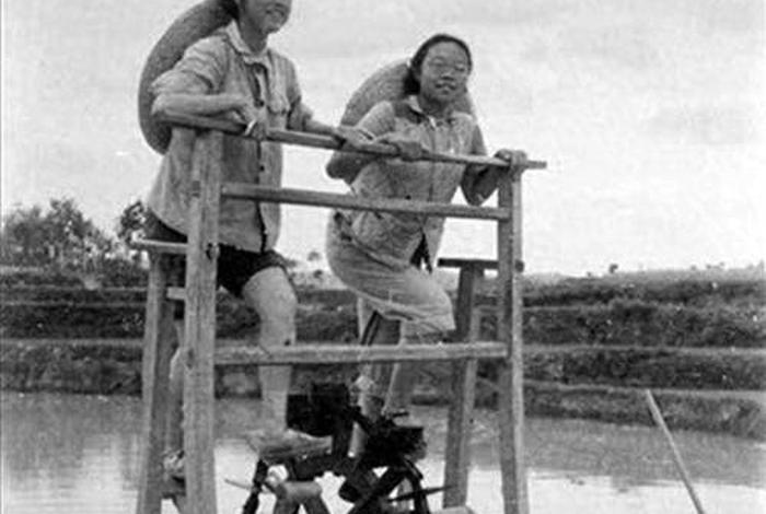 知青混乱生活(知青的生活) 知青混乱生活(知青的生活)