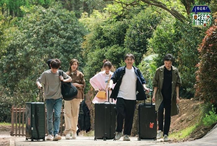 生活类综艺节目有哪些 - 生活类的综艺