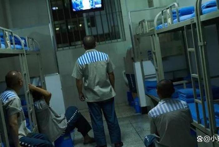 监狱生活怎么样好过 监狱的人怎么生活