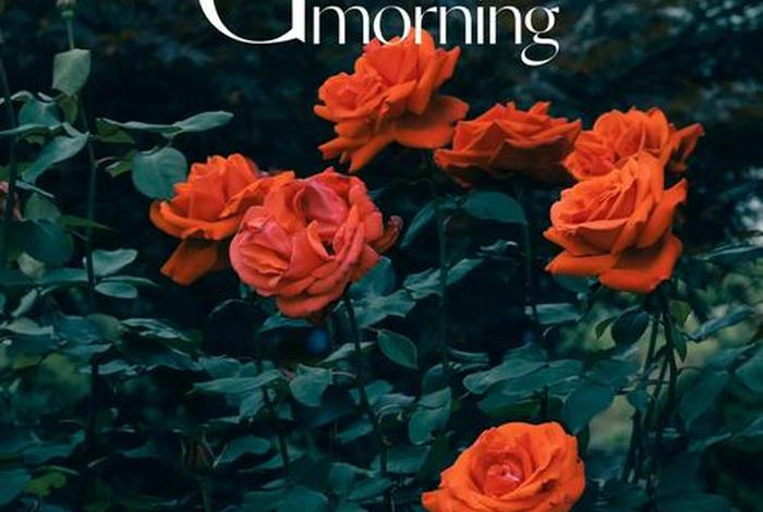 正能量生活文案句子 正能量生活文案句子图片 正能量生活文案句子 正能量生活文案句子图片