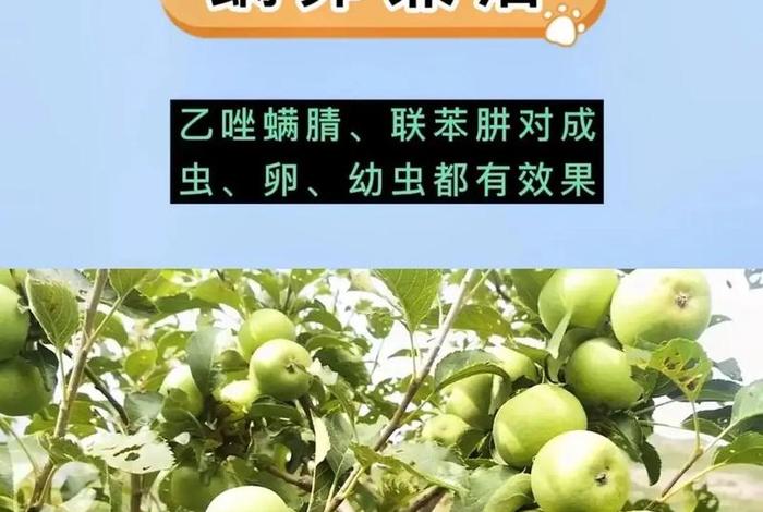 寿光生活指南服务平台；寿光生活帮热线电话