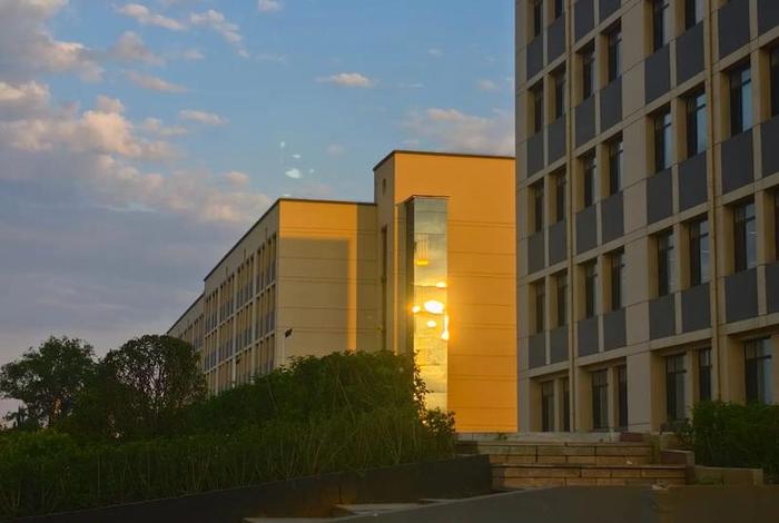 校园里的生活视频（校园里的生活视频素材）