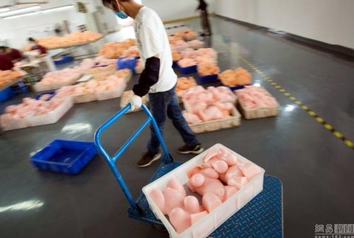 广东领尚生活用品有限公司 东莞领尚展示用品有限公司 广东领尚生活用品有限公司 东莞领尚展示用品有限公司