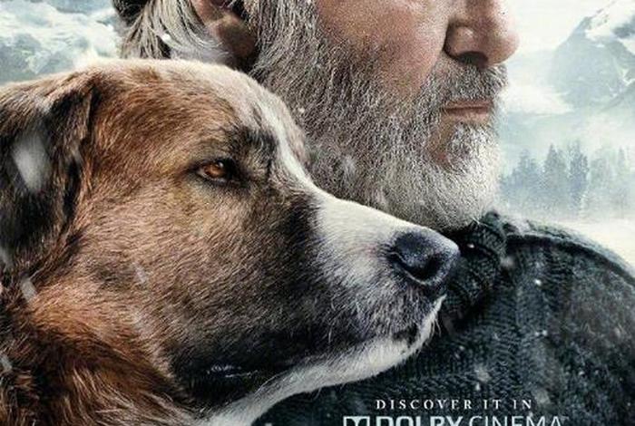 呼唤生活第一季 - 呼唤生活第一季剧情介绍