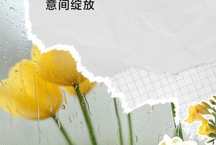 生活有光的文案，生活有光亮