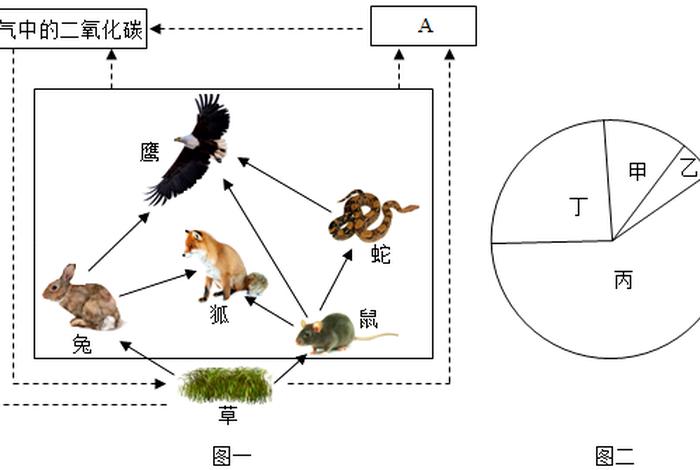 生物与生活之间的关系；生物和生活的关系