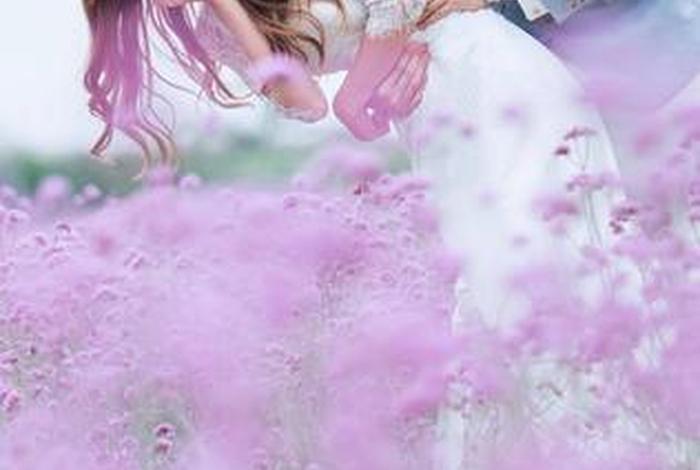 芳芳幸福生活视频、芳芳的幸福生活 720p 下载 芳芳幸福生活视频、芳芳的幸福生活 720p 下载