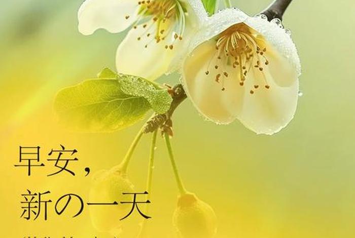 早安生活句子简短，早安生活的说说心情短语