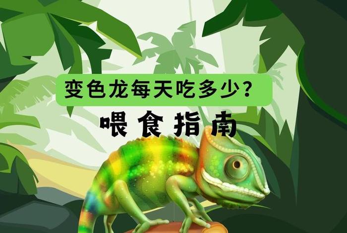 变色龙在哪里生活、变色龙生活在哪里喜欢吃什么 变色龙在哪里生活、变色龙生活在哪里喜欢吃什么