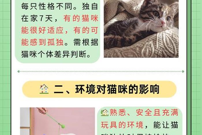 爱猫生活小组，爱猫生活小组暗号在哪里