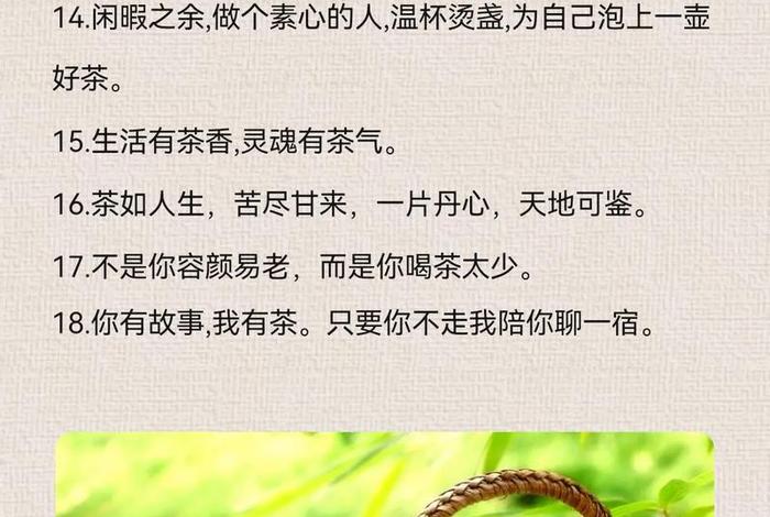 生活与茶的经典语录 生活与茶的唯美句子简短