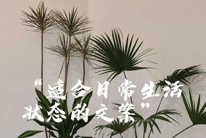 喜欢现在的生活状态文案，喜欢现在的生活状态的图片