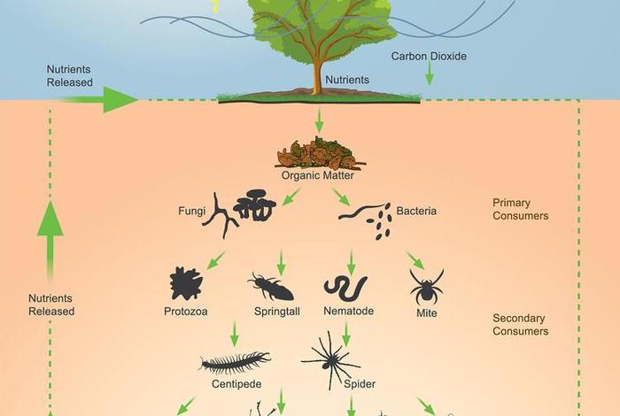 生物与生活之间的关系；生物和生活的关系