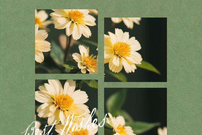 生活感悟经典句子图片 生活感悟经典句子图片 朋友圈