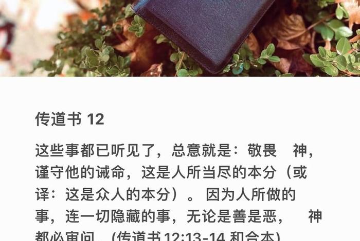 精读圣经电脑版下载安装到桌面、下载精读圣经并安装 精读圣经电脑版下载安装到桌面、下载精读圣经并安装