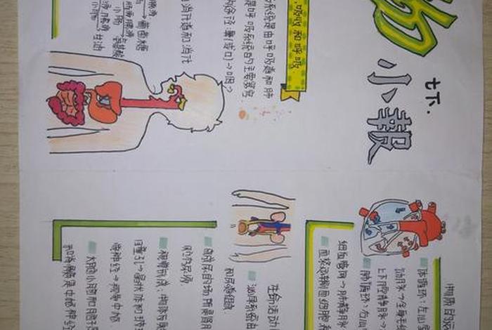 我眼中的生物世界手抄报初一、我眼中的生物世界手抄报资料 我眼中的生物世界手抄报初一、我眼中的生物世界手抄报资料