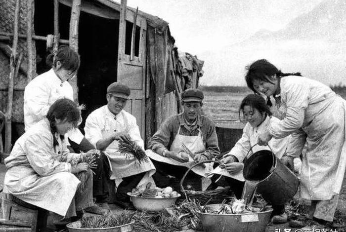 知青混乱生活(知青的生活) 知青混乱生活(知青的生活)