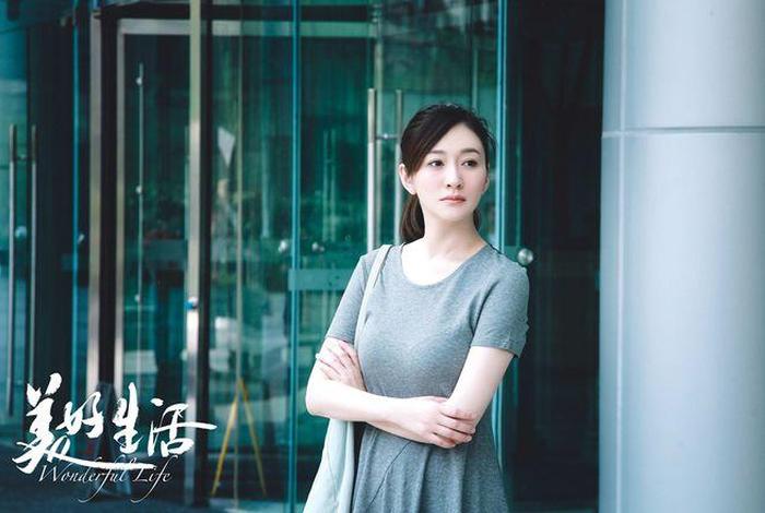 美好生活大结局，美好生活大结局剧情介绍