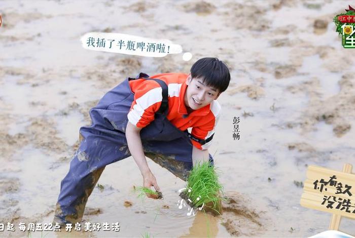 向往的生活第二季（向前生活第二季免费观看高清）