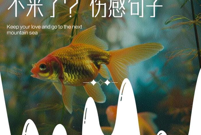 悲催生活图片；悲催的人生啥意思