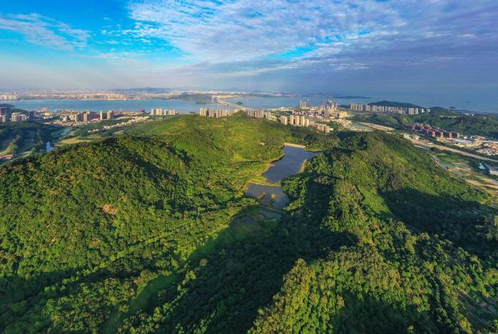 广州南沙的真实生活(在广州南沙生活怎么样) 广州南沙的真实生活(在广州南沙生活怎么样)