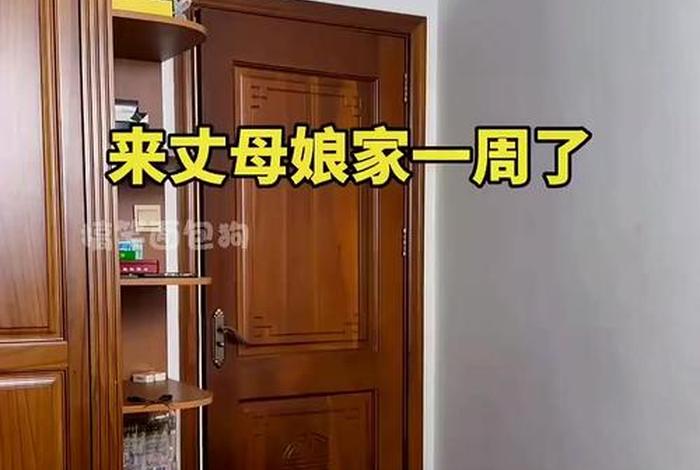 妈妈岳母老婆过着神仙般的生活；岳母家母都是妈千万别住一家