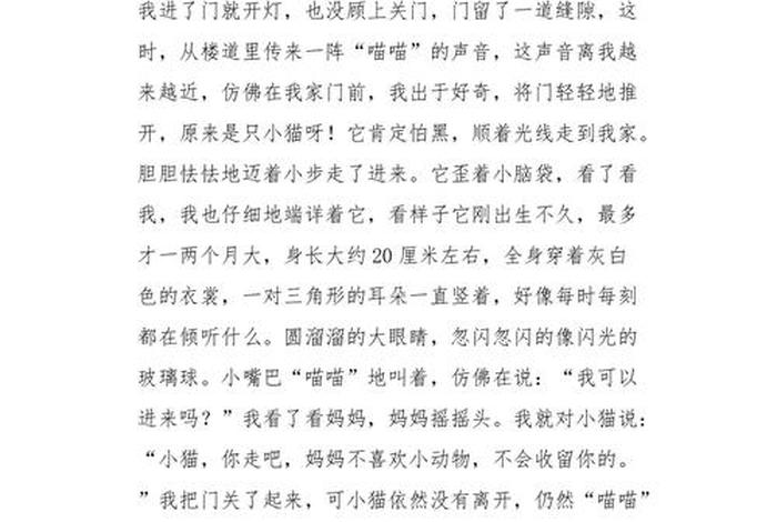 流浪猫的生活作文；流浪猫的生活作文怎么写