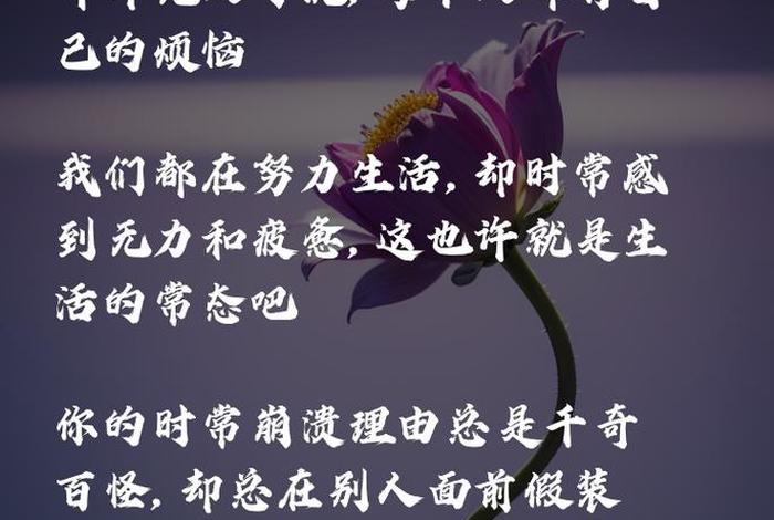 生活精辟的句子精致短句;生活精辟说说 生活精辟的句子精致短句;生活精辟说说