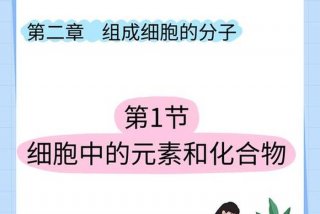 1号生物和2号生物，生物二号