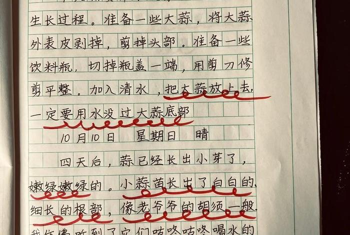 观察生活日记30字 - 观察生活的日记怎么写