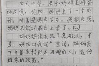 二年级生活日记图文并茂（二年级日记日常生活）