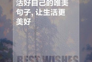 会生活的人眼里看到的都是美好的、眼里全是生活