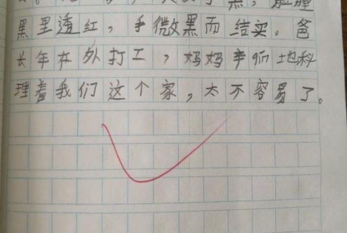 二年级生活日记每日一篇(小学二年级的生活日记50字) 二年级生活日记每日一篇(小学二年级的生活日记50字)