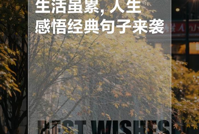 形容生活很累很疲惫的句子;形容生活累的经典语录很拽的句子 形容生活很累很疲惫的句子;形容生活累的经典语录很拽的句子