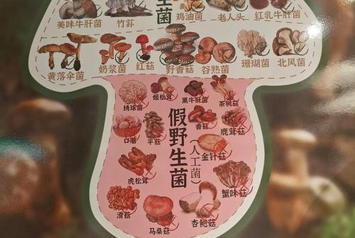 寄生生活的真菌有哪些 - 寄生类的真菌 寄生生活的真菌有哪些 - 寄生类的真菌