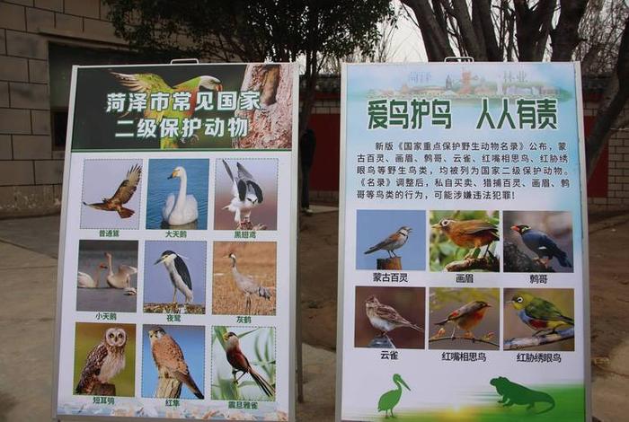 放生活动动物是哪里的，放生活动动物是哪里的特色