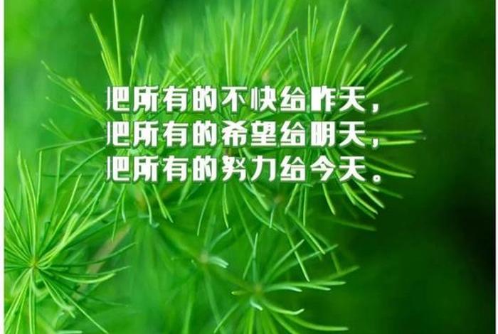 生活积极向上的正能量句子（生活积极向上的正能量句子20字）