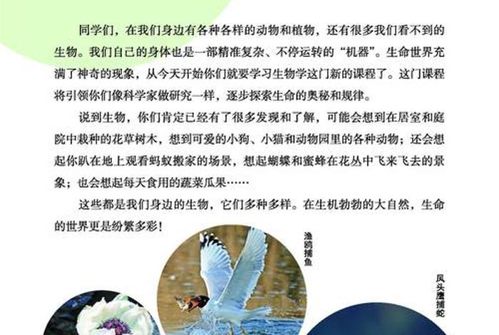 生物与生活书籍 生物学与生活在线阅读 生物与生活书籍 生物学与生活在线阅读