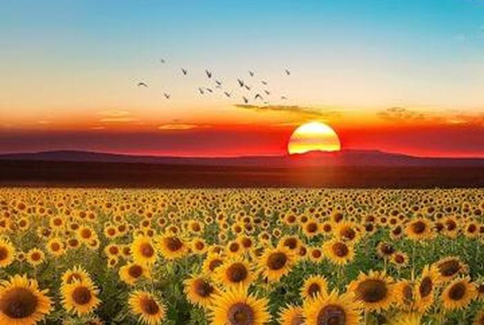 图片阳光正能量；图片阳光正能量 风景