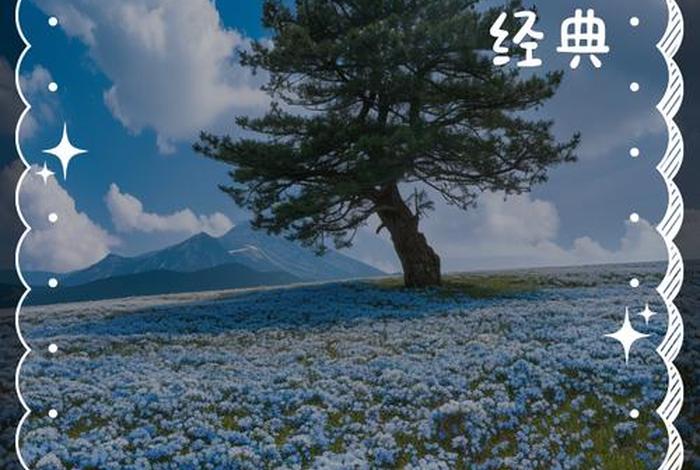 关于生活的经典语录 - 关于生活的经典语录短句